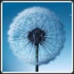 Galaxy S3 Wallpapers for Android