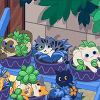 Meows Farm